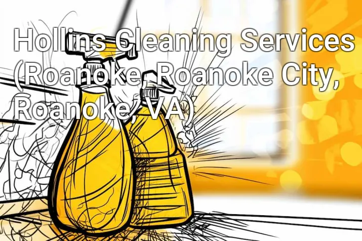 Hollins Cleaning Services (Roanoke, Roanoke City, Roanoke, VA)