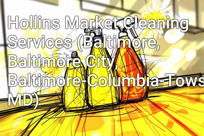 Hollins Market Cleaning Services (Baltimore, Baltimore City, Baltimore-Columbia-Towson, MD)