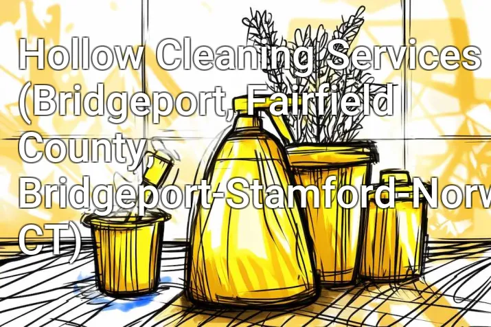 Hollow Cleaning Services (Bridgeport, Fairfield County, Bridgeport-Stamford-Norwalk, CT)