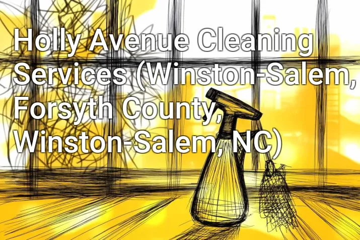Holly Avenue Cleaning Services (Winston-Salem, Forsyth County, Winston-Salem, NC)