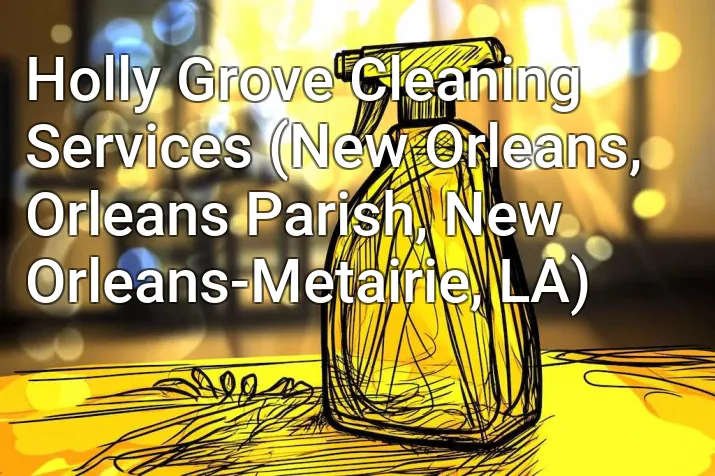 Holly Grove Cleaning Services (New Orleans, Orleans Parish, New Orleans-Metairie, LA)