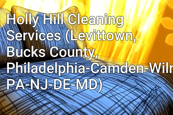 Holly Hill Cleaning Services (Levittown, Bucks County, Philadelphia-Camden-Wilmington, PA-NJ-DE-MD)