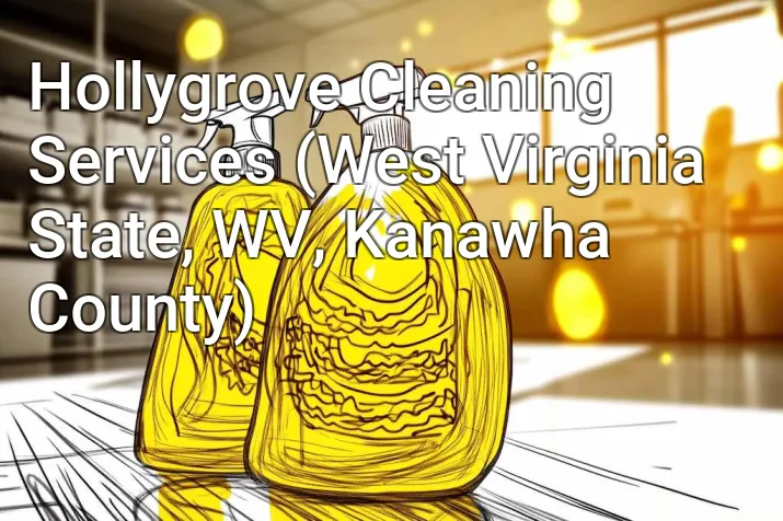 Hollygrove Cleaning Services (West Virginia State, WV, Kanawha County)