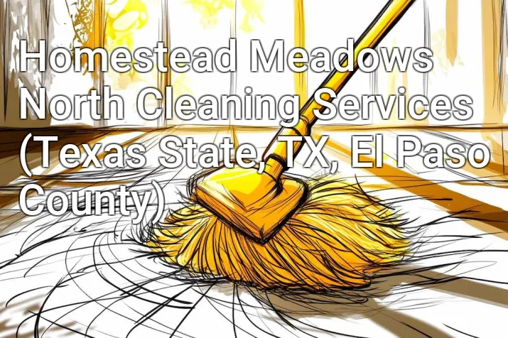 Homestead Meadows North Cleaning Services (Texas State, TX, El Paso County)