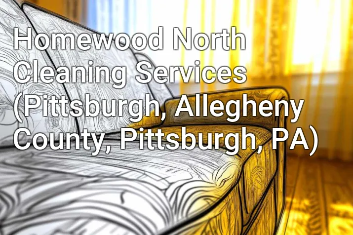 Homewood North Cleaning Services (Pittsburgh, Allegheny County, Pittsburgh, PA)