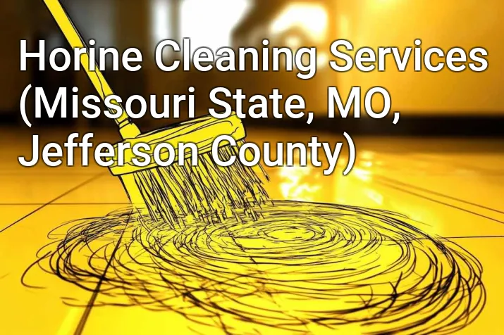 Horine Cleaning Services (Missouri State, MO, Jefferson County)