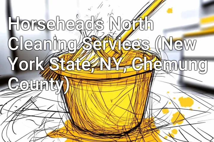 Horseheads North Cleaning Services (New York State, NY, Chemung County)