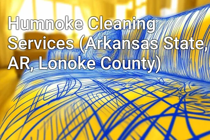 Humnoke Cleaning Services (Arkansas State, AR, Lonoke County)