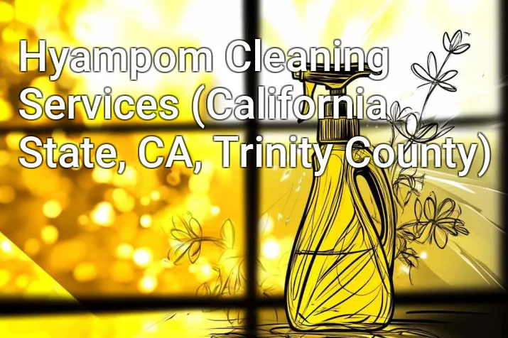 Hyampom Cleaning Services (California State, CA, Trinity County)