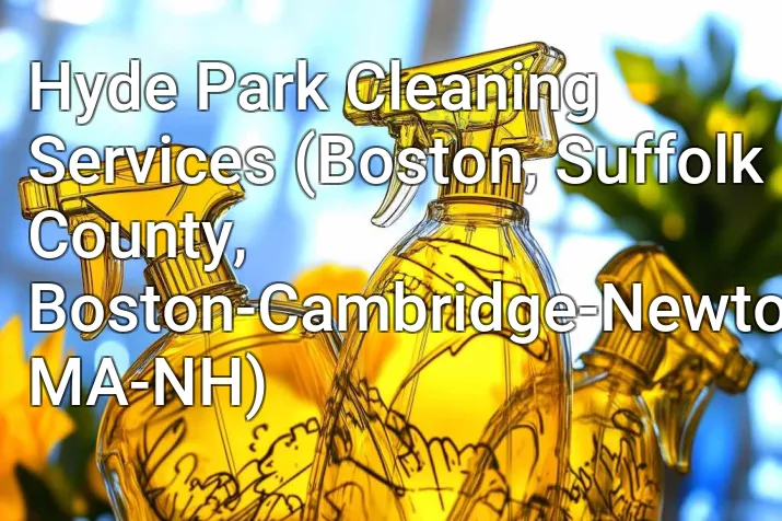 Hyde Park Cleaning Services (Boston, Suffolk County, Boston-Cambridge-Newton, MA-NH)