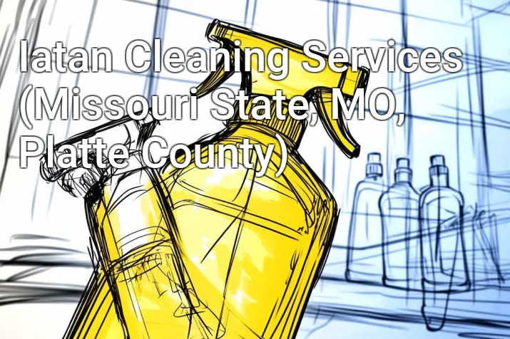 Iatan Cleaning Services (Missouri State, MO, Platte County)