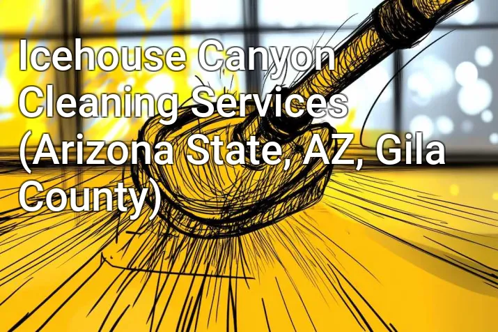 Icehouse Canyon Cleaning Services (Arizona State, AZ, Gila County)