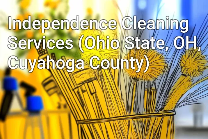 Independence Cleaning Services (Ohio State, OH, Cuyahoga County)