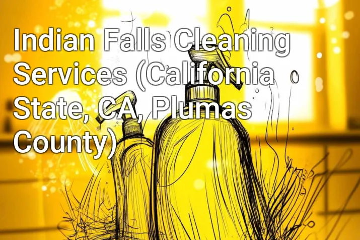 Indian Falls Cleaning Services (California State, CA, Plumas County)