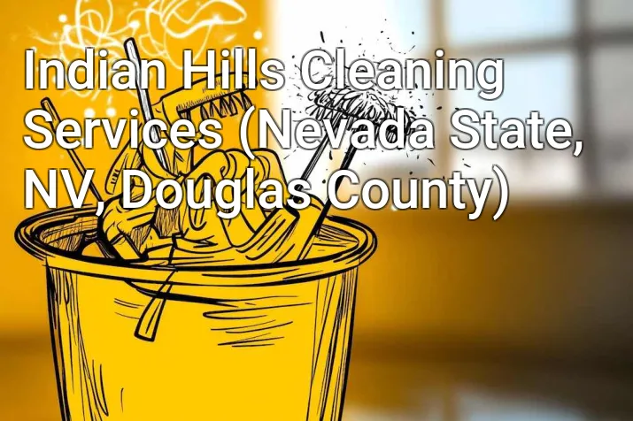 Indian Hills Cleaning Services (Nevada State, NV, Douglas County)