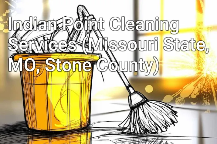 Indian Point Cleaning Services (Missouri State, MO, Stone County)