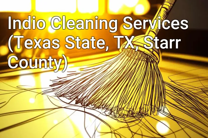 Indio Cleaning Services (Texas State, TX, Starr County)