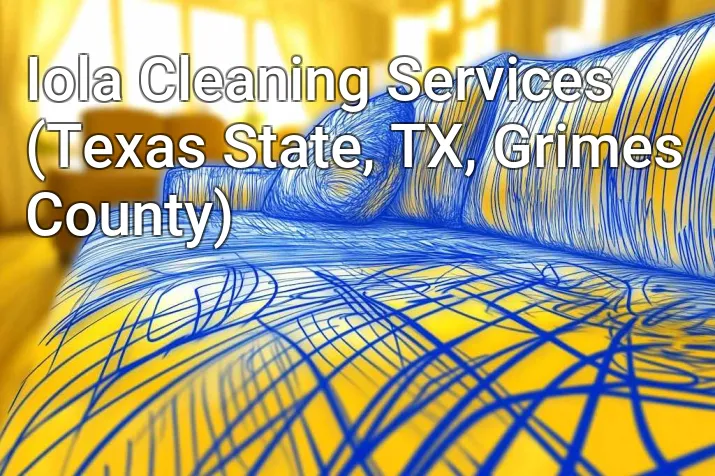 Iola Cleaning Services (Texas State, TX, Grimes County)