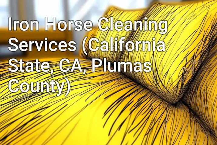 Iron Horse Cleaning Services (California State, CA, Plumas County)