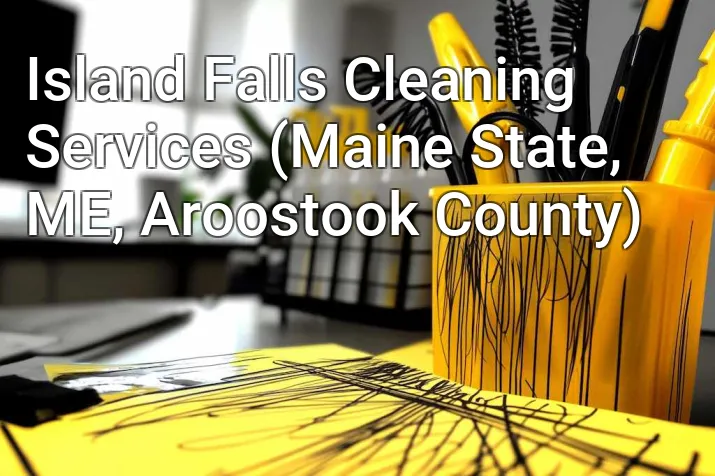 Island Falls Cleaning Services (Maine State, ME, Aroostook County)