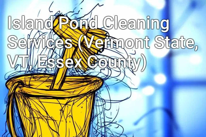 Island Pond Cleaning Services (Vermont State, VT, Essex County)