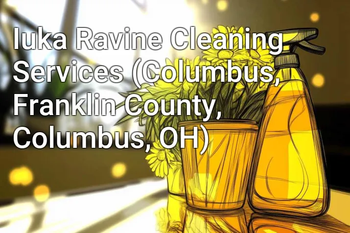 Iuka Ravine Cleaning Services (Columbus, Franklin County, Columbus, OH)