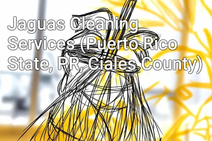 Jaguas Cleaning Services (Puerto Rico State, PR, Ciales County)