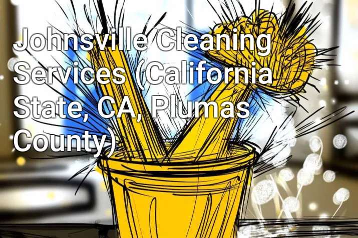 Johnsville Cleaning Services (California State, CA, Plumas County)