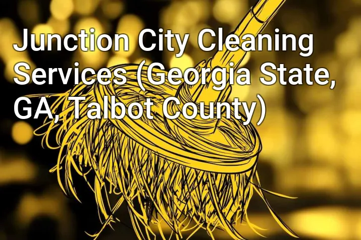 Junction City Cleaning Services (Georgia State, GA, Talbot County)