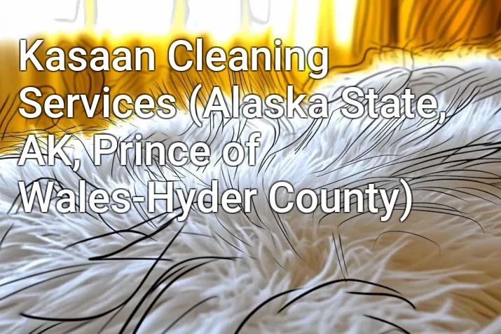 Kasaan Cleaning Services (Alaska State, AK, Prince of Wales-Hyder County)