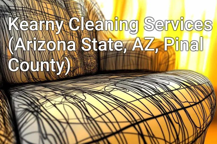 Kearny Cleaning Services (Arizona State, AZ, Pinal County)