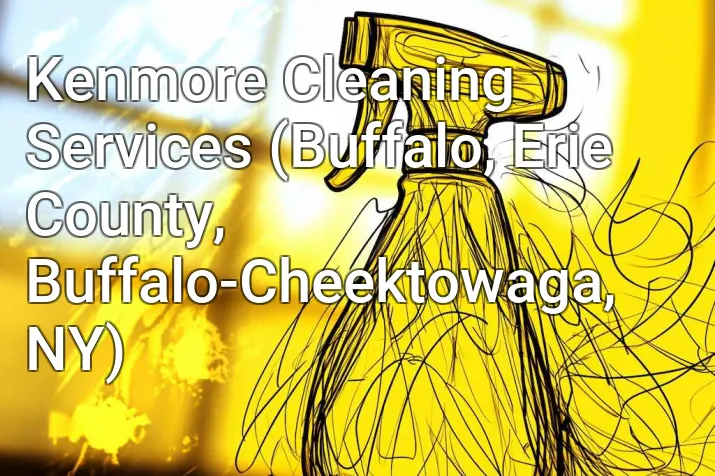 Kenmore Cleaning Services (Buffalo, Erie County, Buffalo-Cheektowaga, NY)