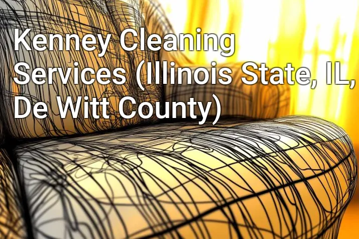 Kenney Cleaning Services (Illinois State, IL, De Witt County)