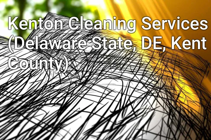 Kenton Cleaning Services (Delaware State, DE, Kent County)
