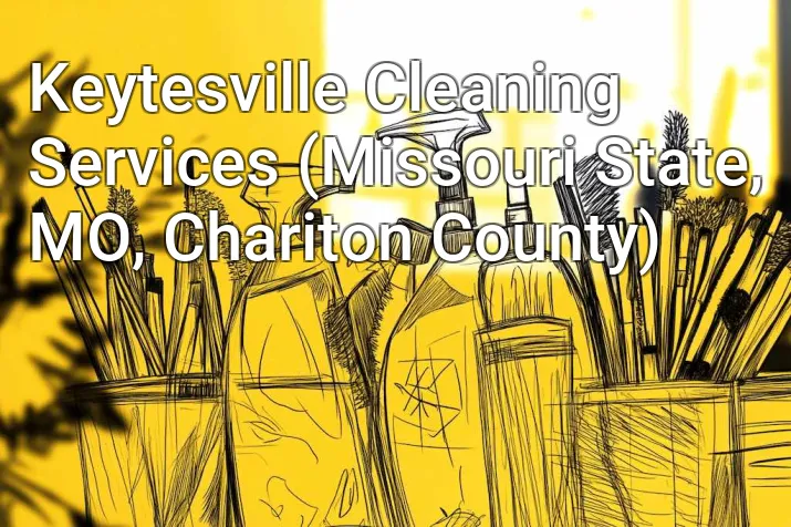Keytesville Cleaning Services (Missouri State, MO, Chariton County)