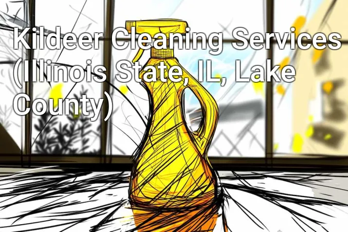 Kildeer Cleaning Services (Illinois State, IL, Lake County)
