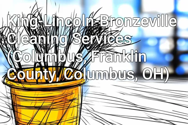 King-Lincoln-Bronzeville Cleaning Services (Columbus, Franklin County, Columbus, OH)