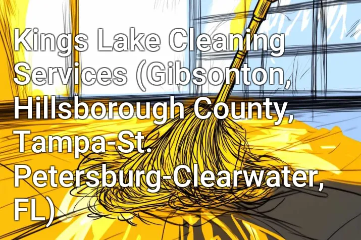 Kings Lake Cleaning Services (Gibsonton, Hillsborough County, Tampa-St. Petersburg-Clearwater, FL)