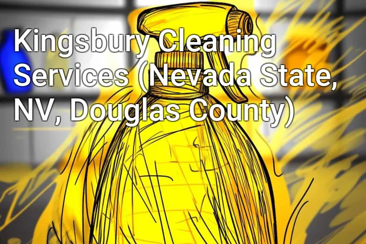 Kingsbury Cleaning Services (Nevada State, NV, Douglas County)