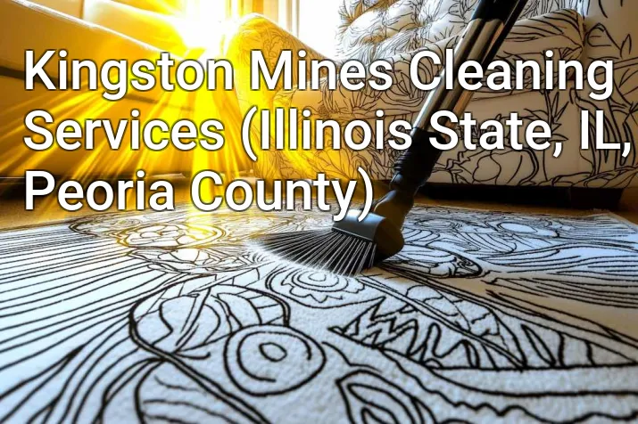 Kingston Mines Cleaning Services (Illinois State, IL, Peoria County)
