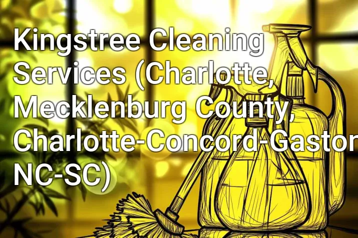 Kingstree Cleaning Services (Charlotte, Mecklenburg County, Charlotte-Concord-Gastonia, NC-SC)