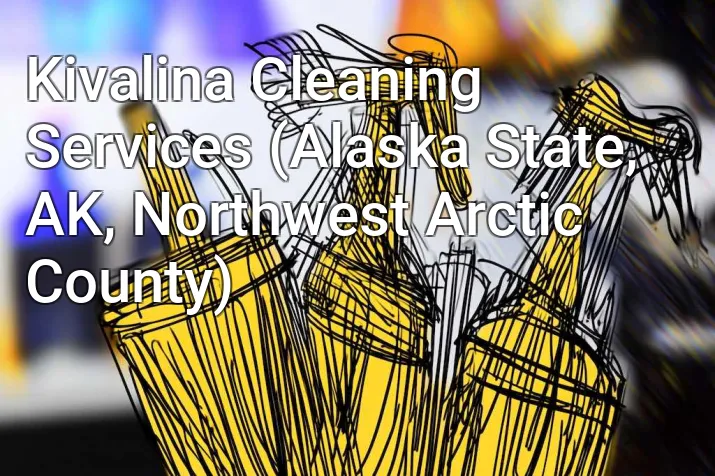 Kivalina Cleaning Services (Alaska State, AK, Northwest Arctic County)