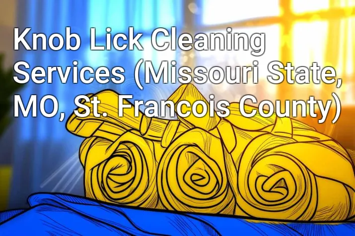 Knob Lick Cleaning Services (Missouri State, MO, St. Francois County)