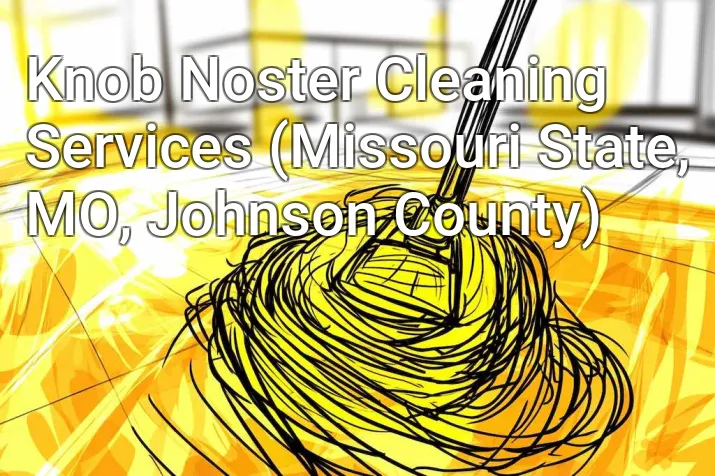 Knob Noster Cleaning Services (Missouri State, MO, Johnson County)
