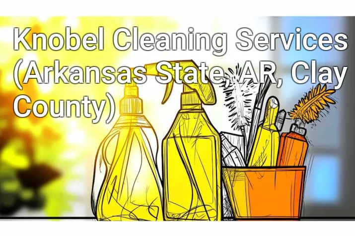 Knobel Cleaning Services (Arkansas State, AR, Clay County)