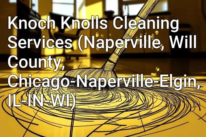 Knoch Knolls Cleaning Services (Naperville, Will County, Chicago-Naperville-Elgin, IL-IN-WI)