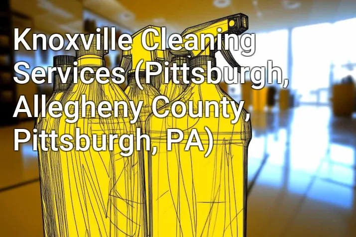 Knoxville Cleaning Services (Pittsburgh, Allegheny County, Pittsburgh, PA)