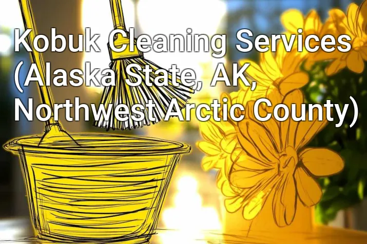 Kobuk Cleaning Services (Alaska State, AK, Northwest Arctic County)