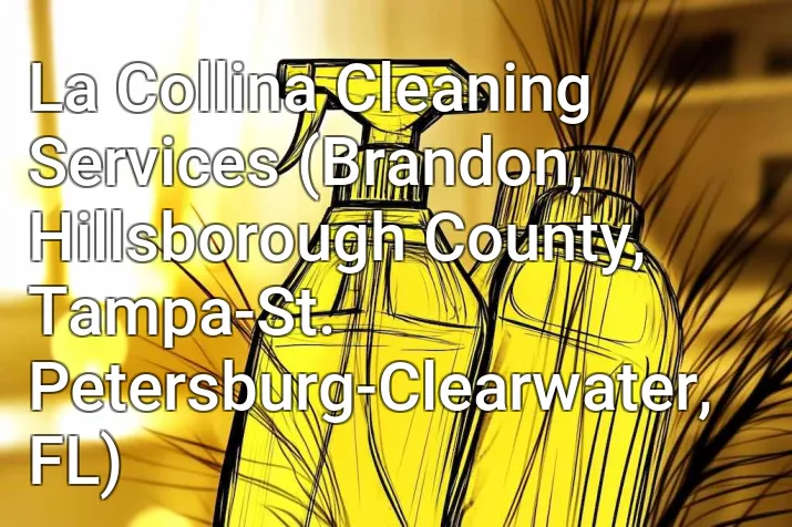 La Collina Cleaning Services (Brandon, Hillsborough County, Tampa-St. Petersburg-Clearwater, FL)