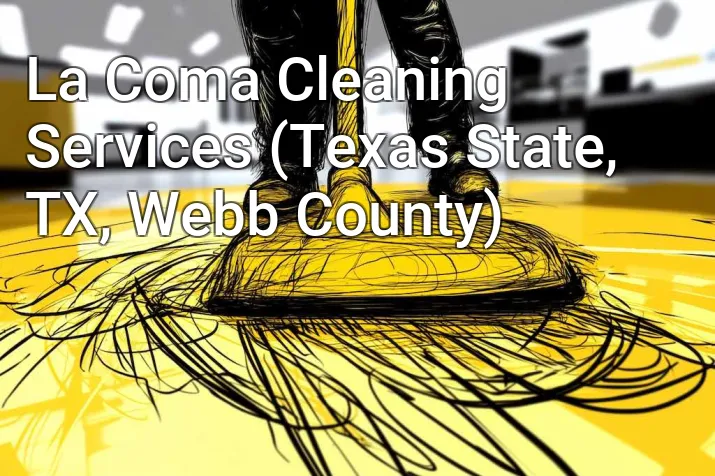 La Coma Cleaning Services (Texas State, TX, Webb County)